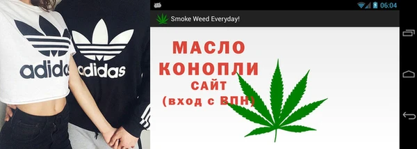 шишки Алексин