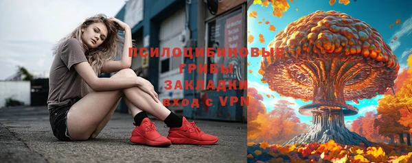 прущие крисы Армянск