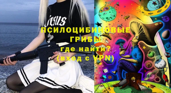 шишки Алексин