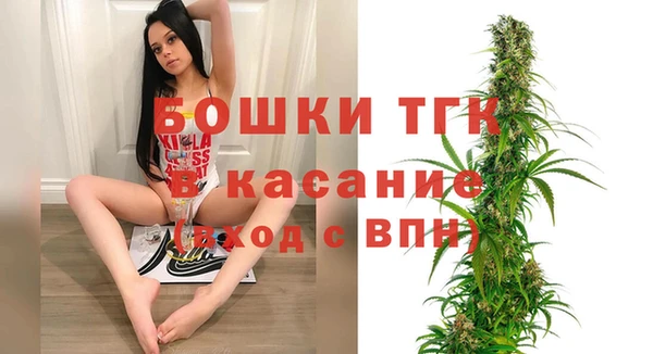 шишки Алексин