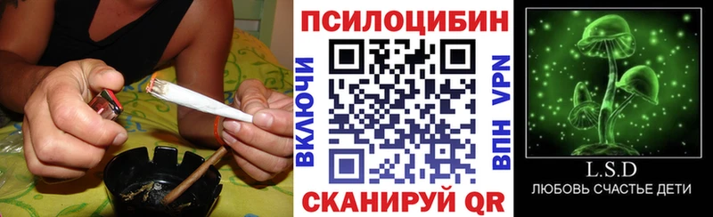 купить наркотики цена  Георгиевск  Псилоцибиновые грибы Psilocybine cubensis 