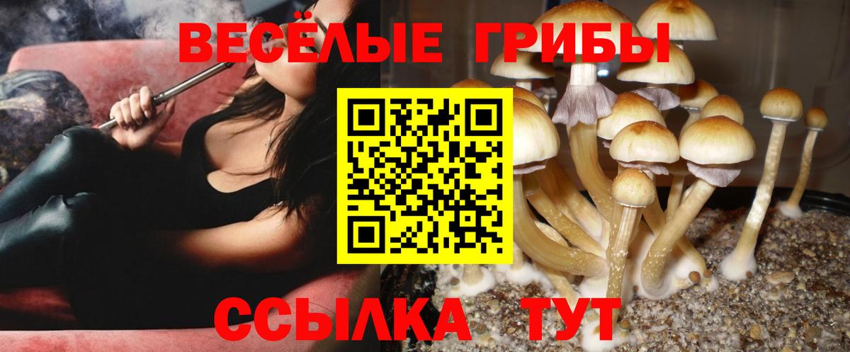 COCAIN  Георгиевск  Канабис  ГАШ  Alpha-PVP СОЛЬ   Вход с VPN  Мефедрон   Конопля  ГАШ 