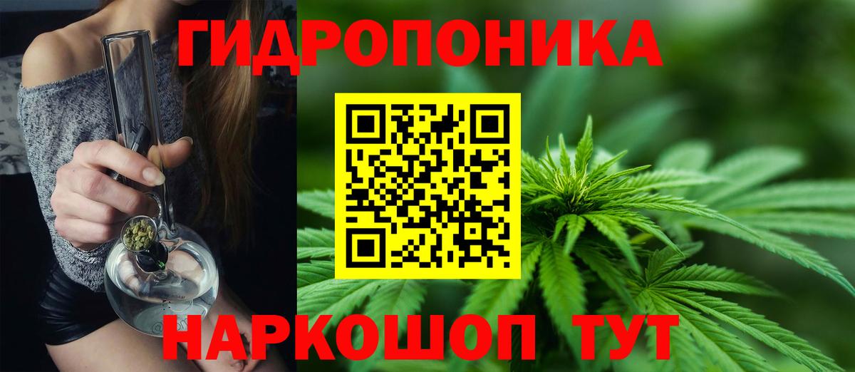 МАРИХУАНА Ganja Георгиевск